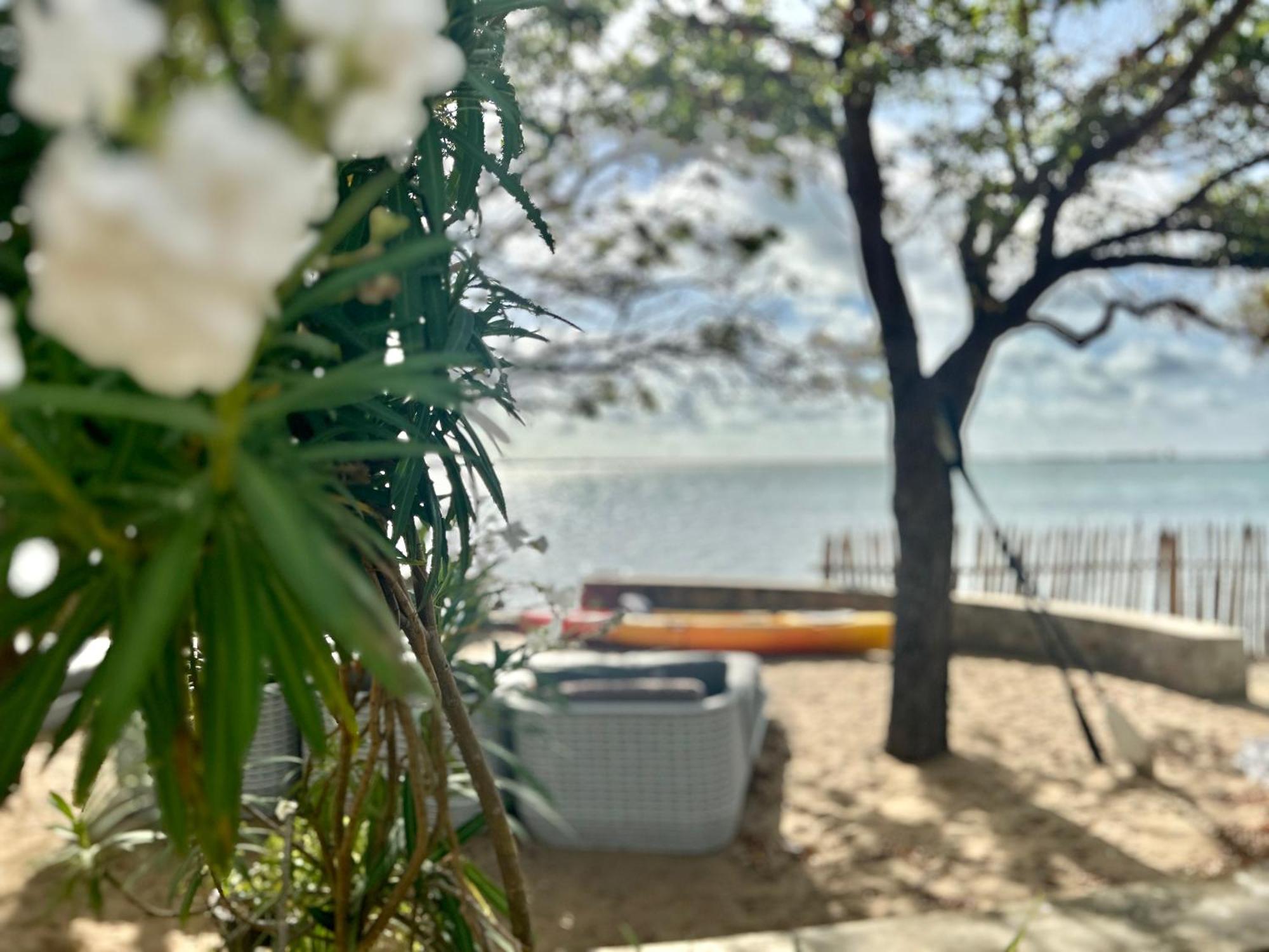 Arasi Resort Kalpitiya Εξωτερικό φωτογραφία