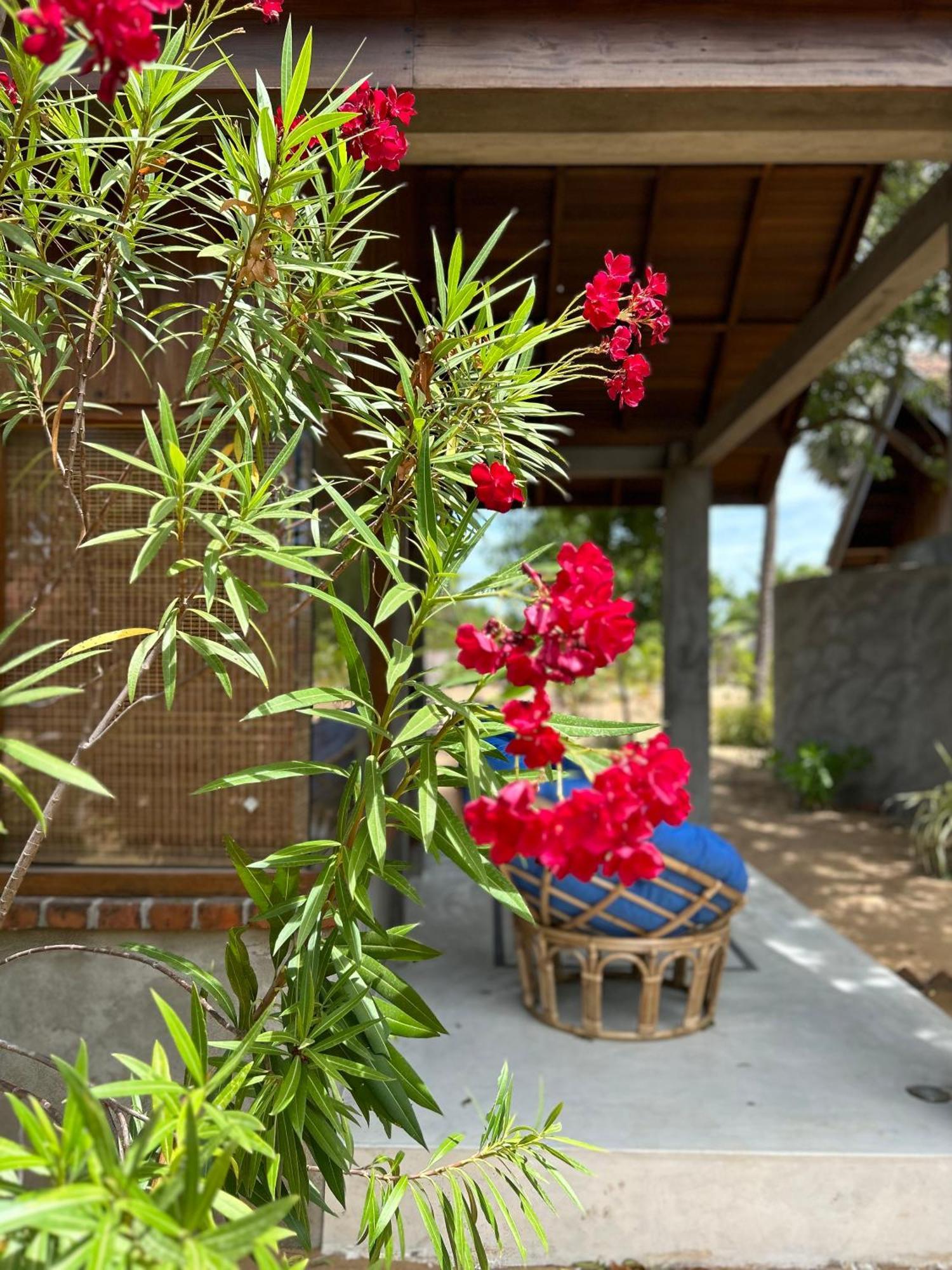 Arasi Resort Kalpitiya Εξωτερικό φωτογραφία